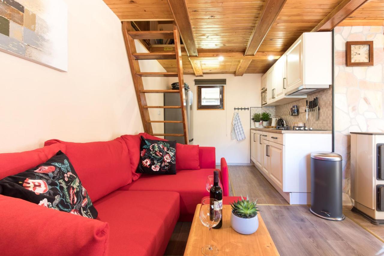Vila Rozi, Osilnica - Vacation House Pr' Vili Rozi Esterno foto