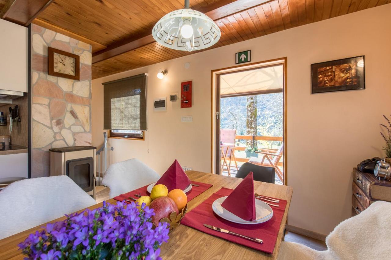 Vila Rozi, Osilnica - Vacation House Pr' Vili Rozi Esterno foto