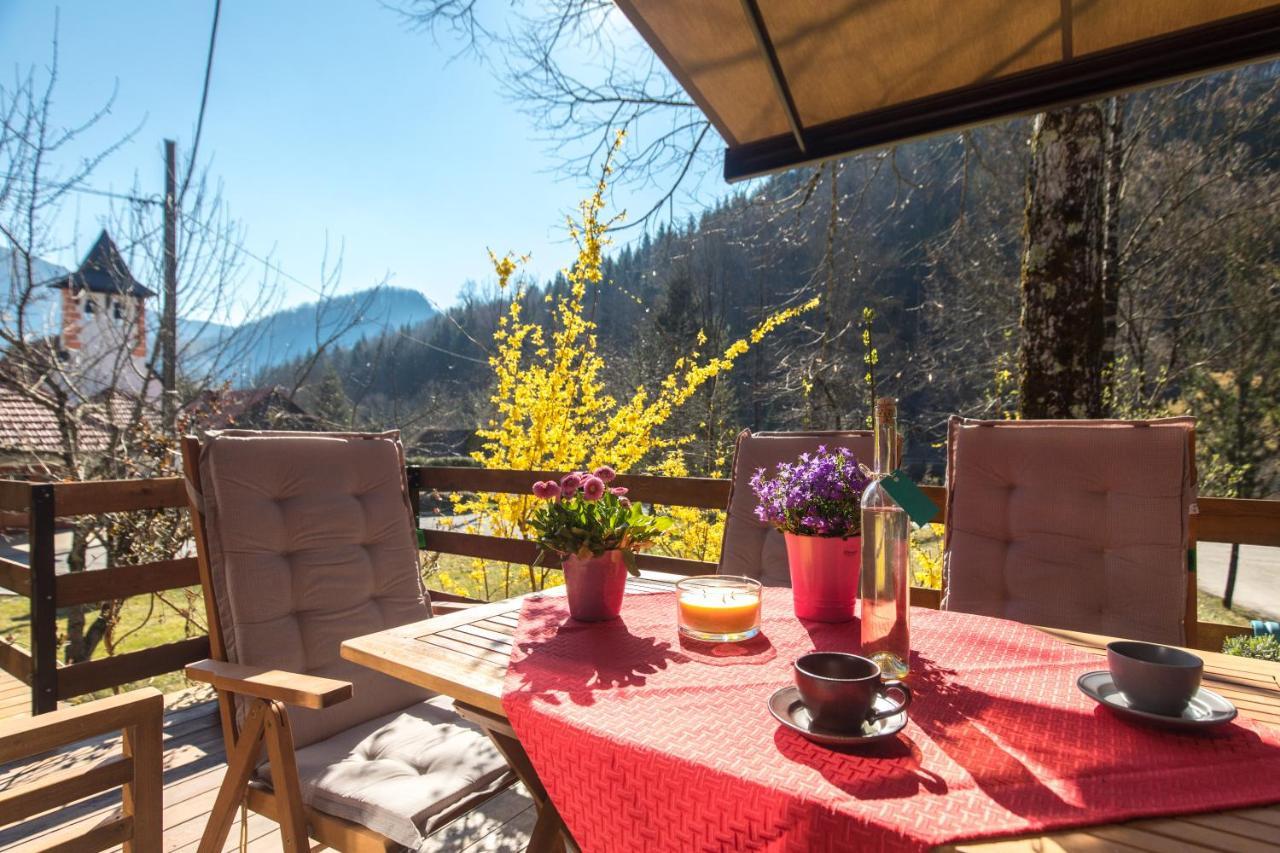 Vila Rozi, Osilnica - Vacation House Pr' Vili Rozi Esterno foto