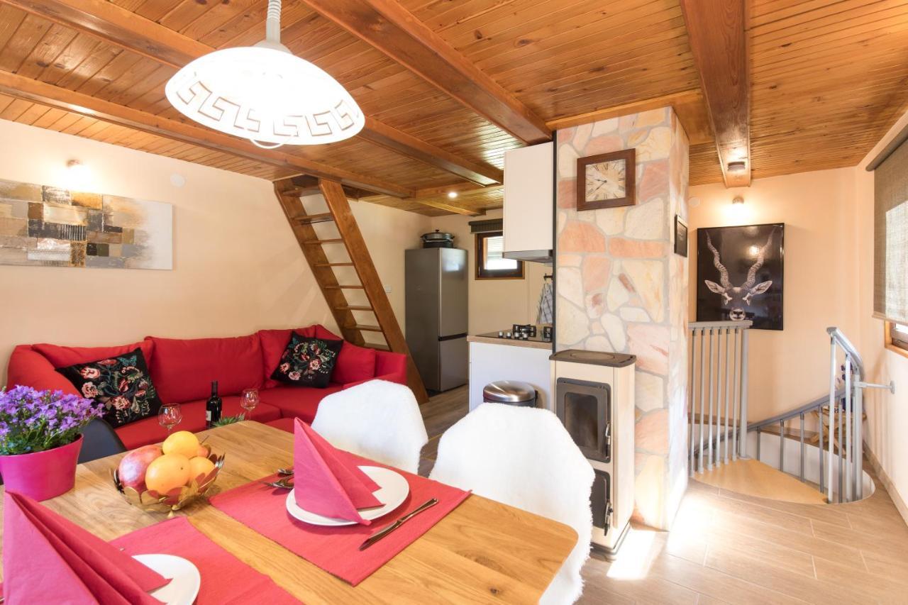 Vila Rozi, Osilnica - Vacation House Pr' Vili Rozi Esterno foto