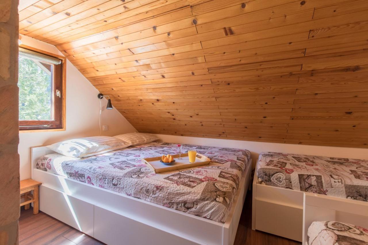 Vila Rozi, Osilnica - Vacation House Pr' Vili Rozi Esterno foto
