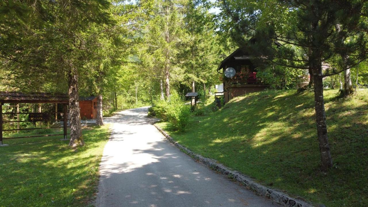 Vila Rozi, Osilnica - Vacation House Pr' Vili Rozi Esterno foto