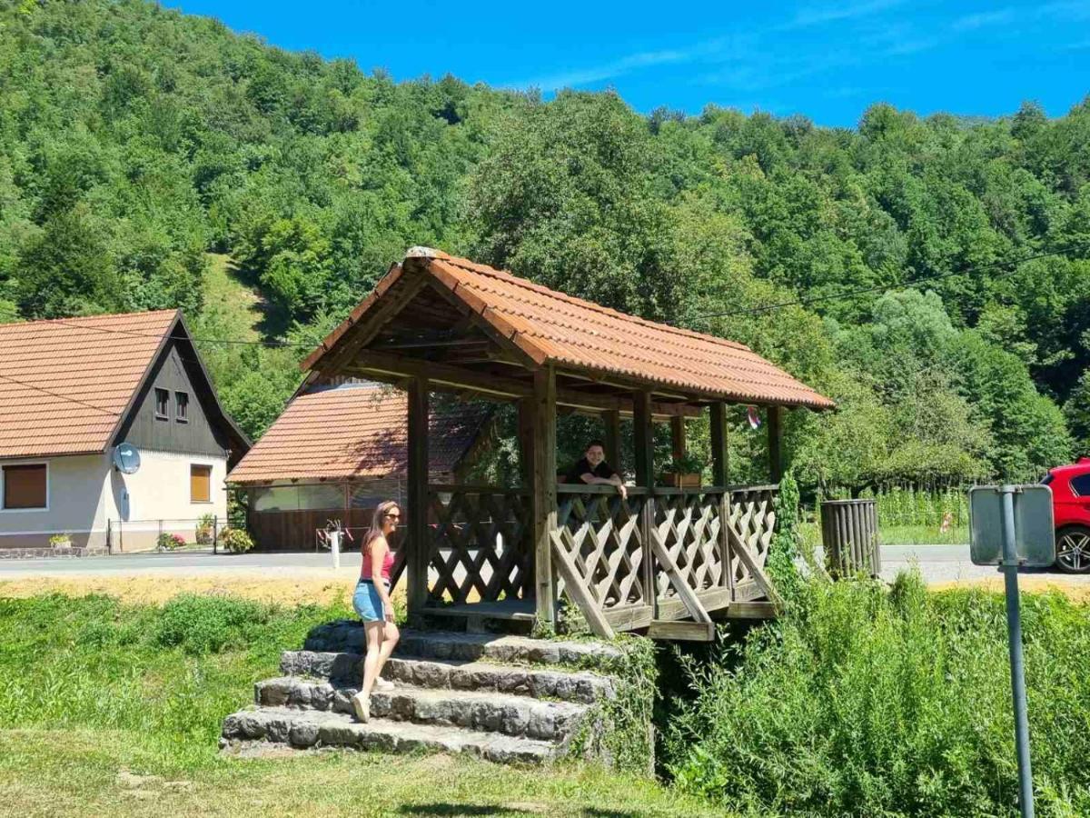 Vila Rozi, Osilnica - Vacation House Pr' Vili Rozi Esterno foto