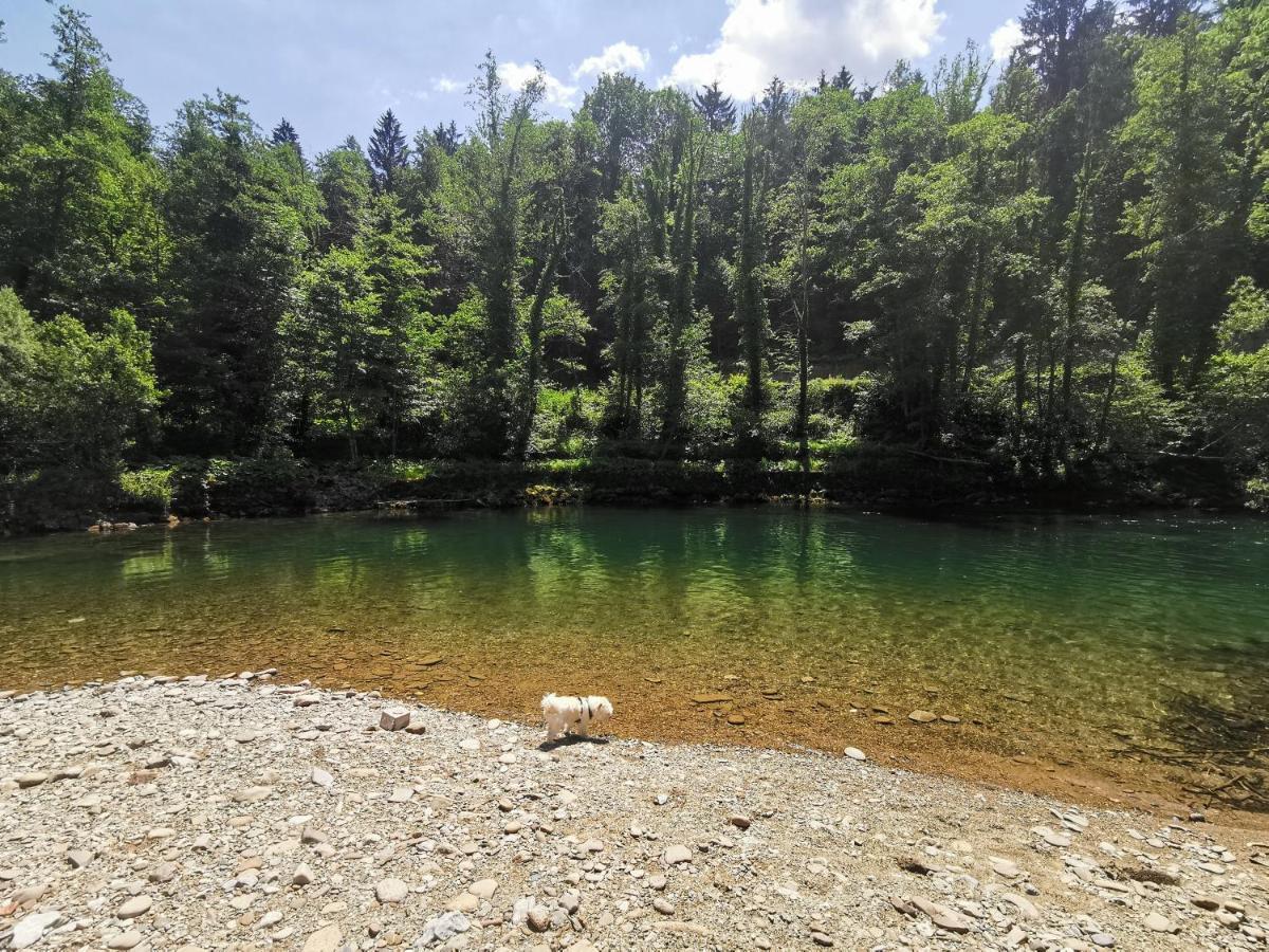 Vila Rozi, Osilnica - Vacation House Pr' Vili Rozi Esterno foto